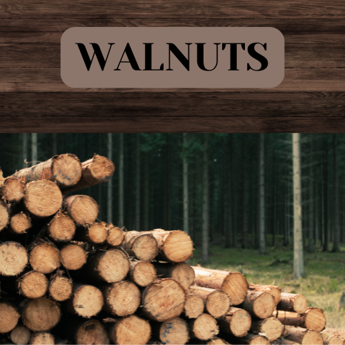 Walnut Wood